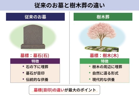 従来のお墓と樹木葬の違いを比較した図解