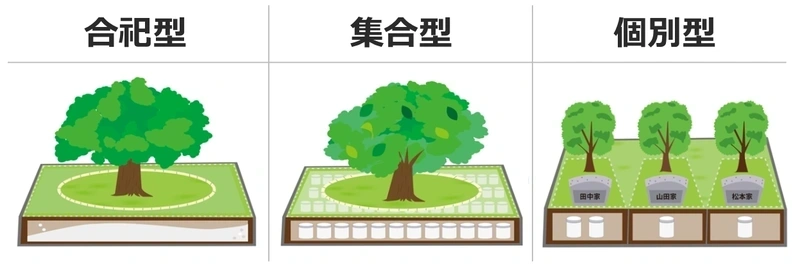 樹木葬の3つの埋葬方式（合祀型、集合型、個別型）の図解
