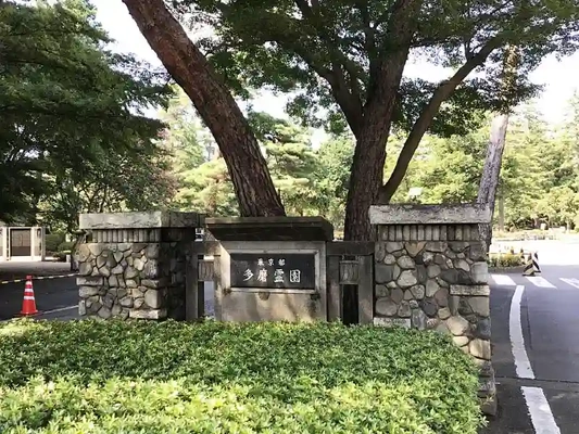 都立多磨霊園の風景