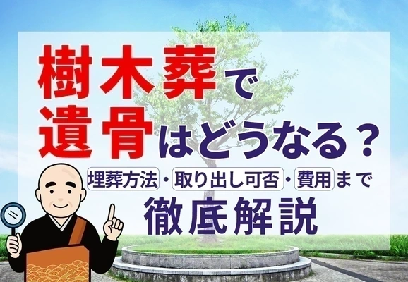 樹木葬で遺骨はどうなる？埋葬方法とメリット・デメリットを徹底解説