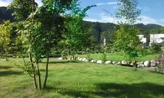 里山型樹木葬に関する解説記事のアイキャッチ画像