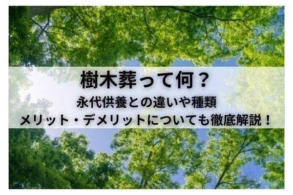 樹木葬って何？永代供養との違いや種類、メリット・デメリットについても徹底解説！