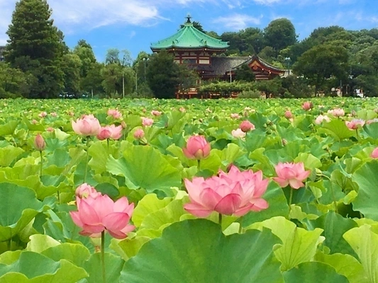 極楽浄土