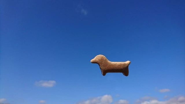 空を飛んでいる犬のフィギュア