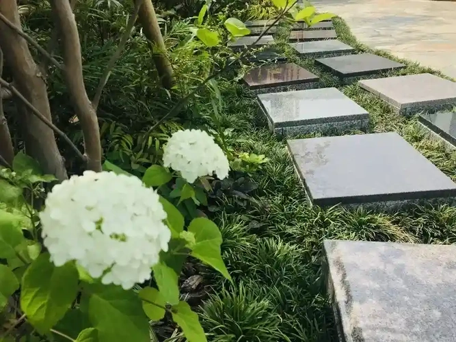 良観寺  樹木葬 『やすらぎ祈りのその』 綺麗な花も咲いています