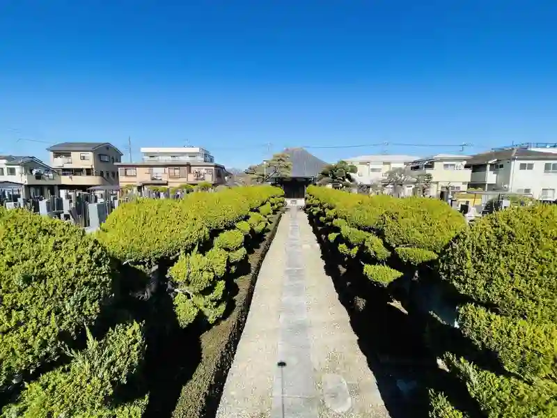 自然と調和した静かな空間