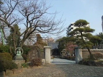 明るい雰囲気の寺院墓地