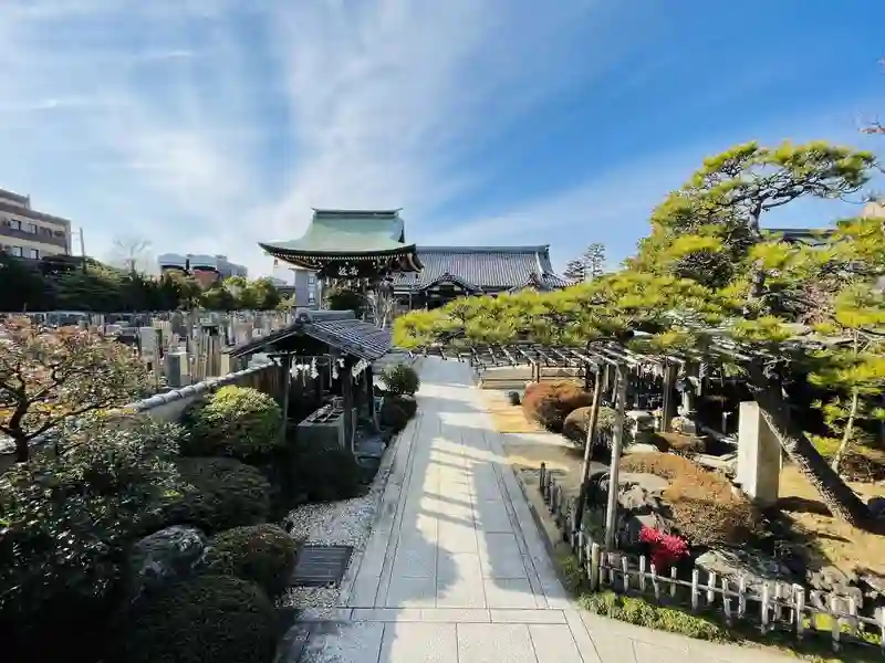 境内の花木が美しい寺院