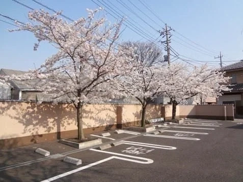 江戸川区 圓勝院 永代供養墓「蓮華」