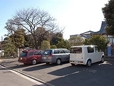 都心の好立地で花と緑に包まれた癒しの空間