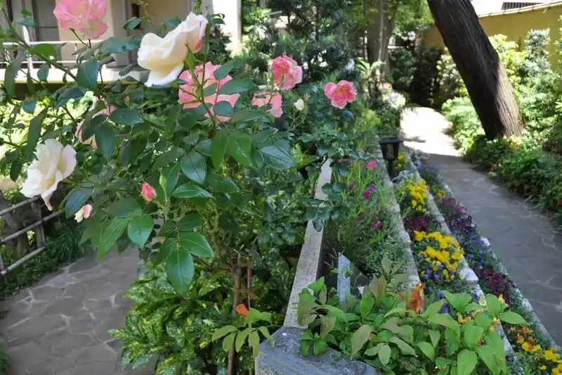 高輪墓苑 正満寺 「ふれあいの碑」 苑内のきれいな植栽