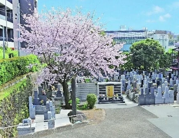 中央区 高輪正源寺 永代供養墓