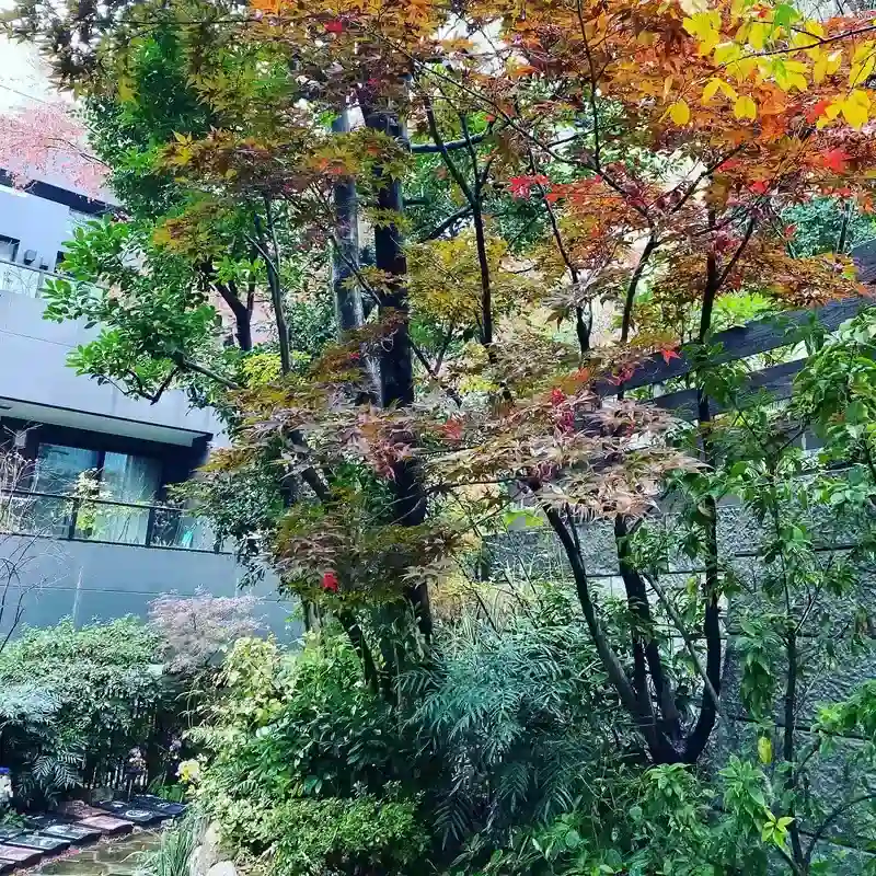 高輪庭苑 紅葉