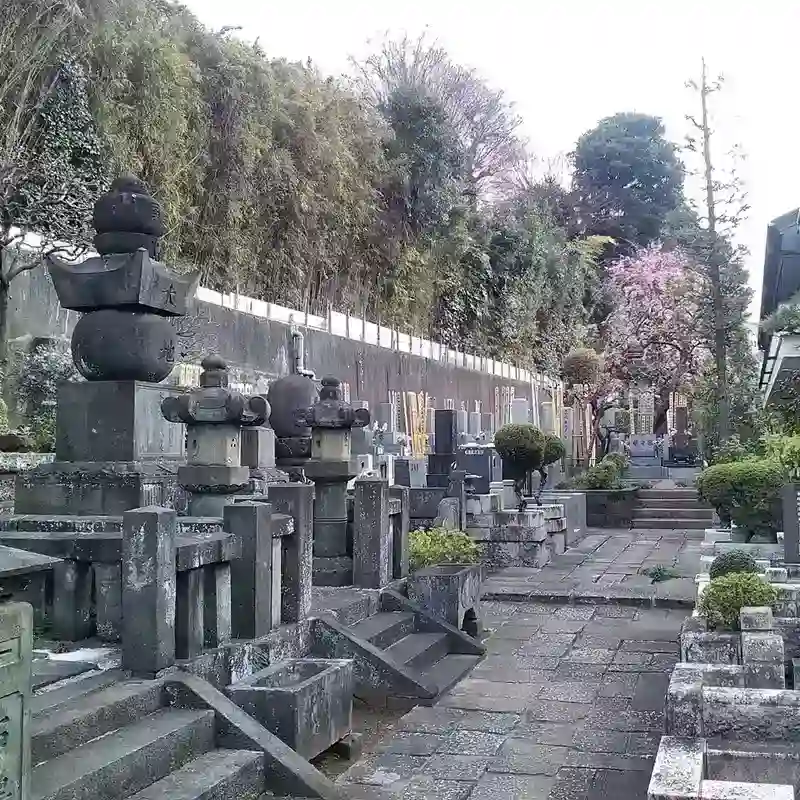 常林寺 墓所