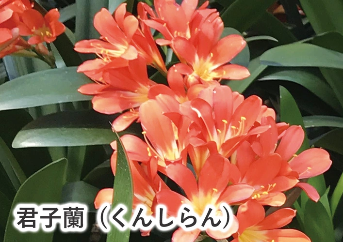 花岳院／港区芝大門御廟 