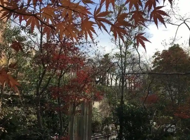 芝庭苑 紅葉も綺麗です