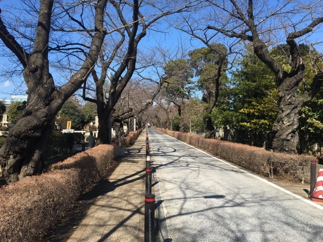 都立 青山霊園 バリアフリーの写真