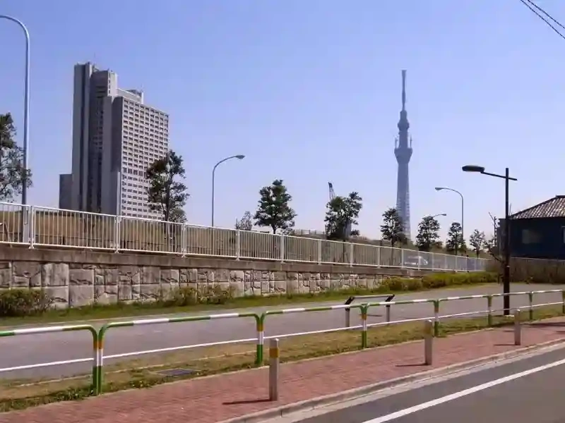 霊園から見た東京スカイツリー