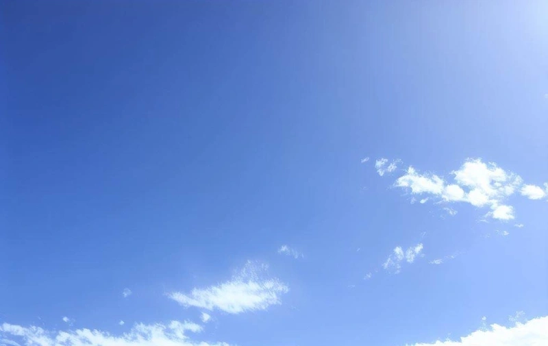 明るく開放的な空間