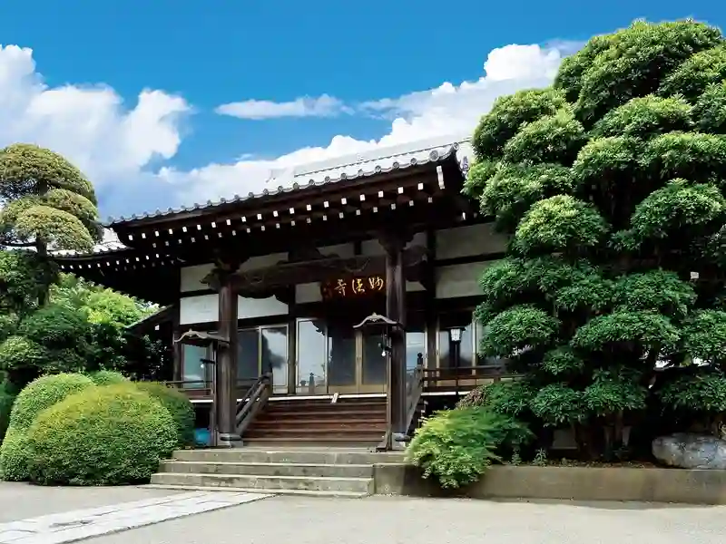緑に包まれた歴史を感じるお寺