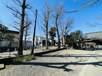 狛江市の保存樹