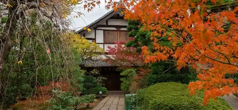 広尾 祥雲寺墓苑 綺麗な紅葉