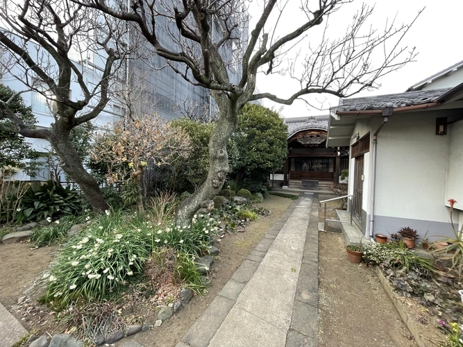 蓮乗院 寺院内寸景