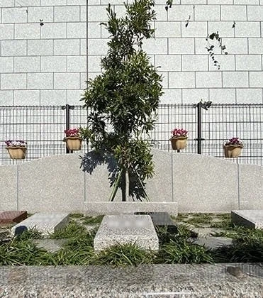 香蓮寺 外苑こもれびの杜 樹木葬・永代供養墓 