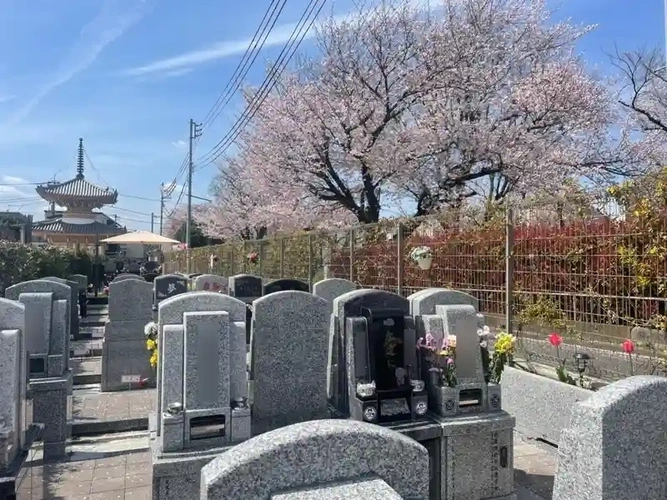 苑内風景5