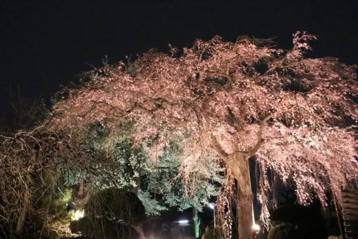 妙法寺 久遠殿 