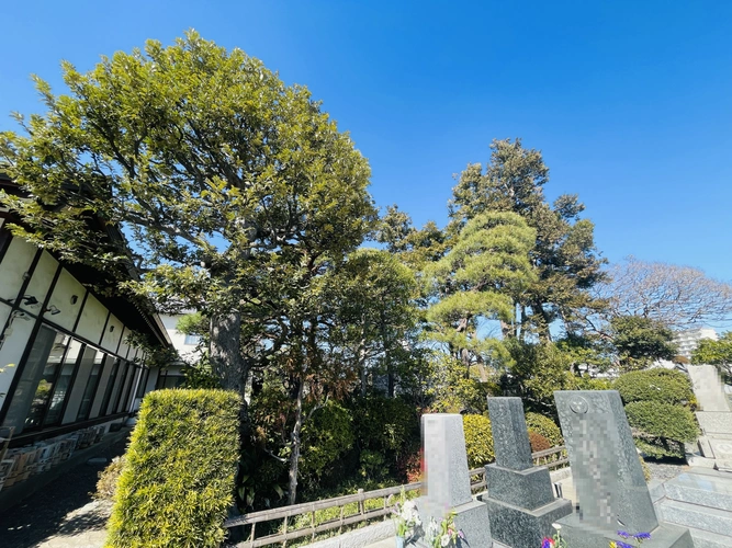 常栄寺 