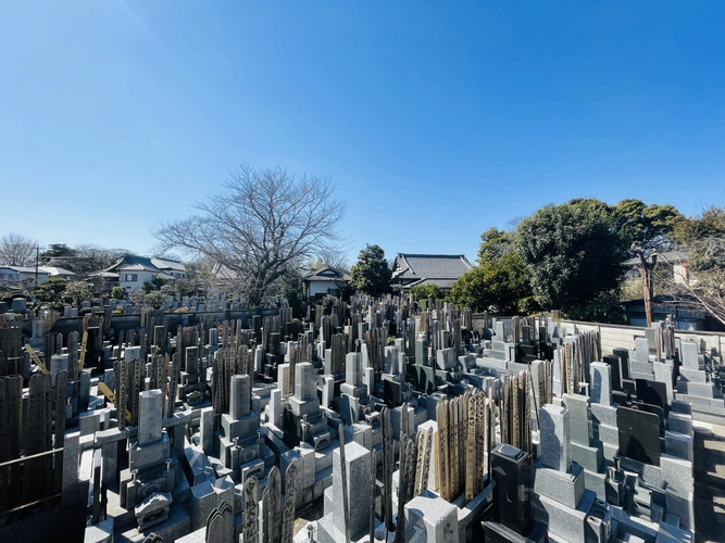 Cemetery Photo 2