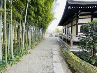 竹林のあるお寺