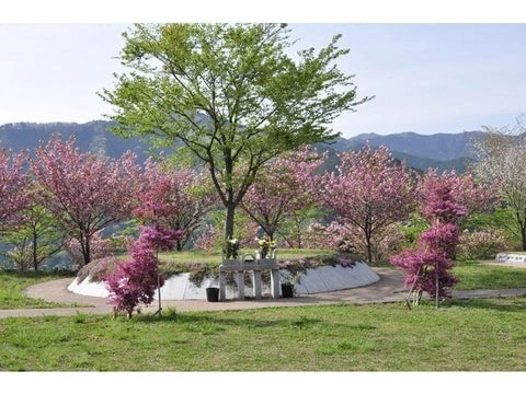 奥多摩霊園 園内風景