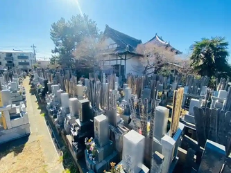 明るい雰囲気の墓地