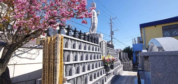 陽当たりが良好な寺院墓地