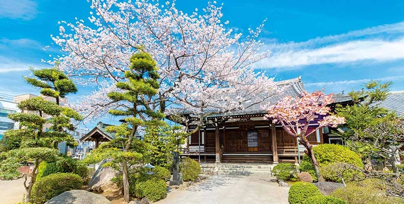 満願寺・永代供養墓 樹木葬 