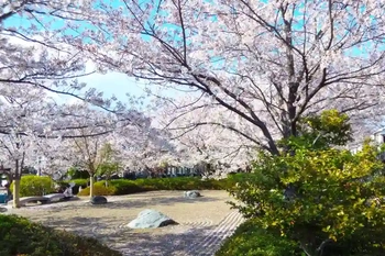 歴史ある武蔵の名刹 瑞応寺