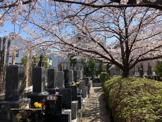 都会の喧騒を忘れさせる瑞応寺