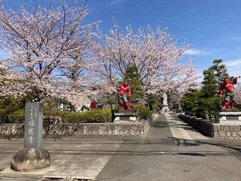 瑞応寺 