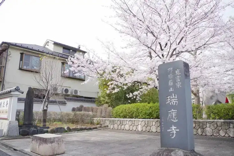 瑞応寺 瑞応寺