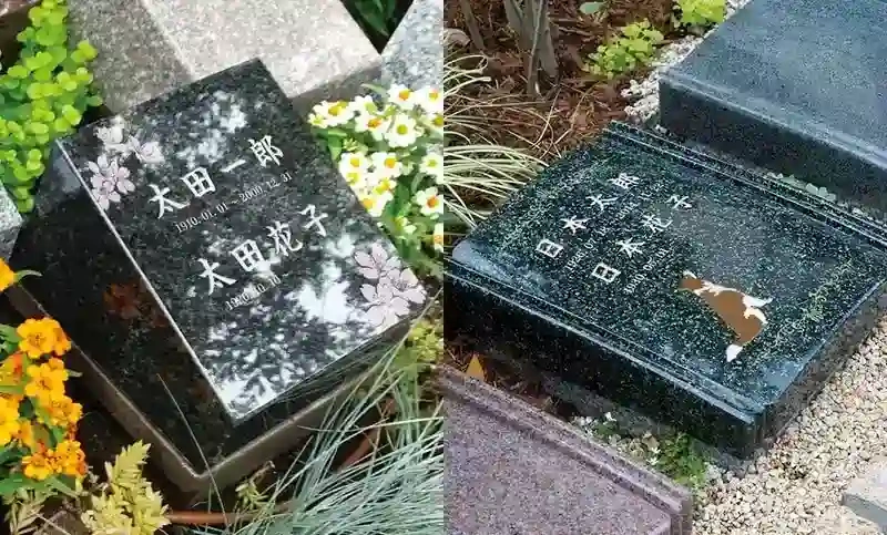 ペットと一緒に眠れます