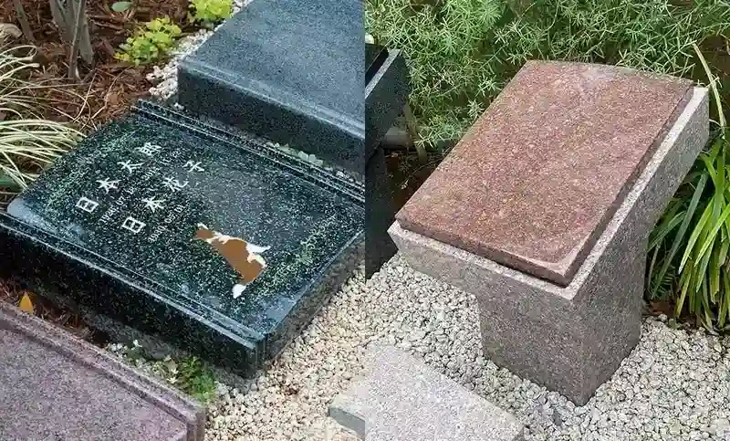 ペットと一緒に眠れます
