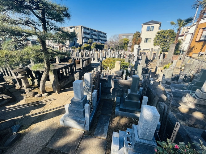 谷中天龍の杜・天龍院 一般墓地