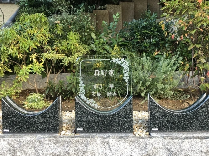 心エリア