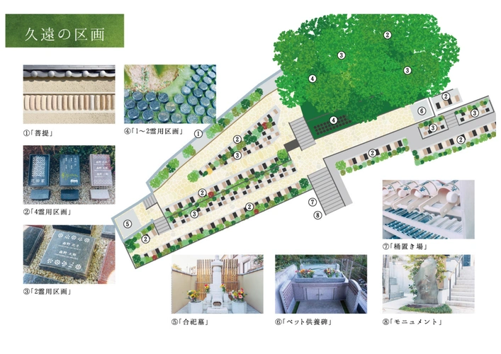 谷中樹陵 久遠　区画