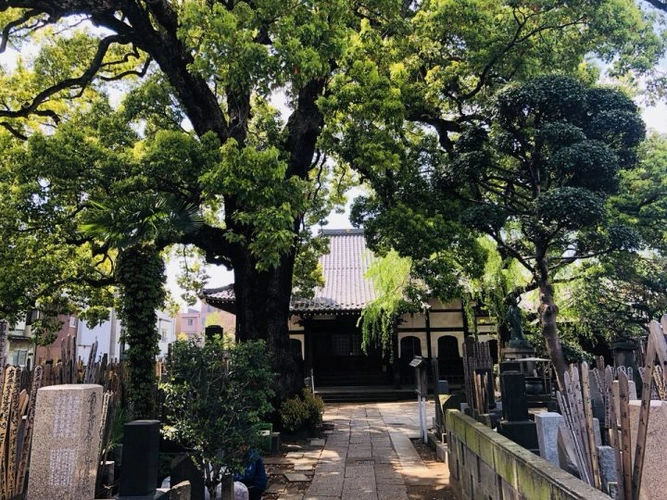 大雄寺 のうこつぼ 