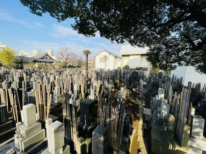 妙雲寺 妙雲寺 墓地