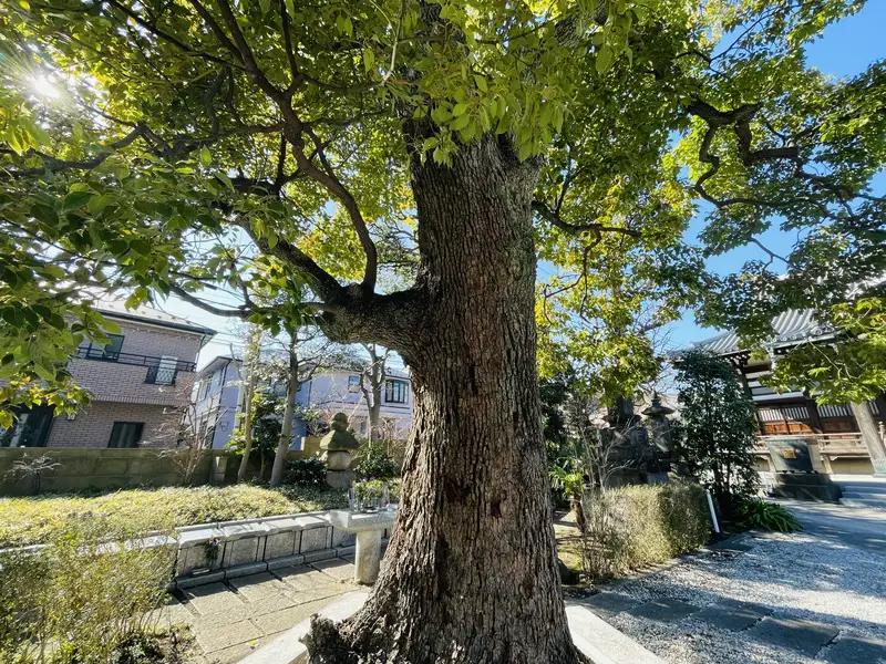 久が原庭苑園林廟の訪問レポート2