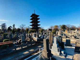 墓地は五重塔を望む景観